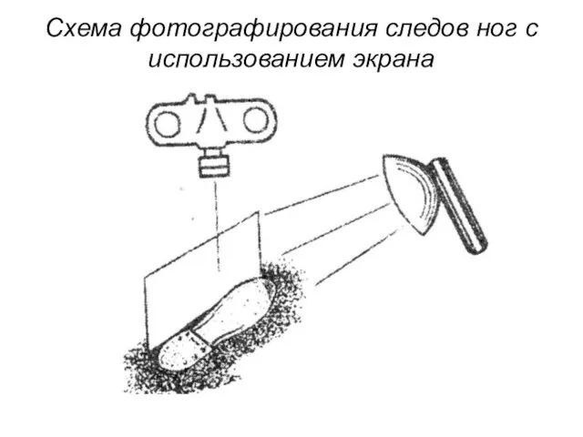 Схема фотографирования следов ног с использованием экрана