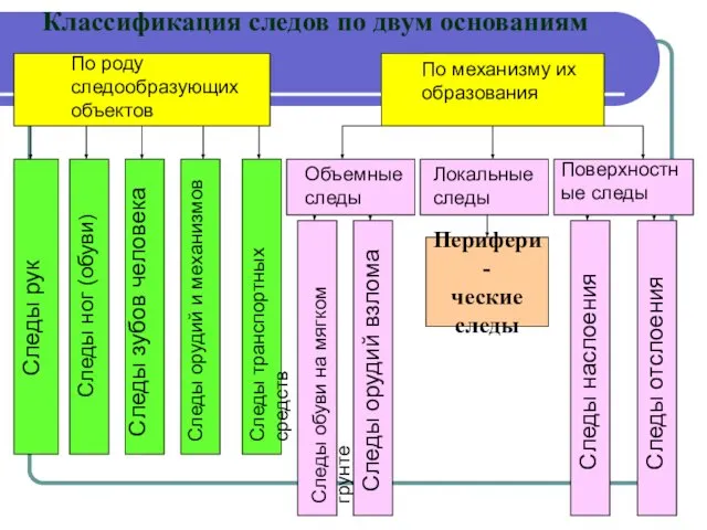 Классификация следов по двум основаниям По роду следообразующих объектов По механизму