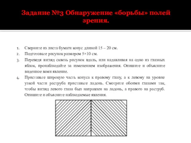 Задание №3 Обнаружение «борьбы» полей зрения. Сверните из листа бумаги конус