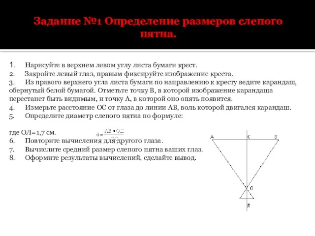 Задание №1 Определение размеров слепого пятна. 1. Нарисуйте в верхнем левом