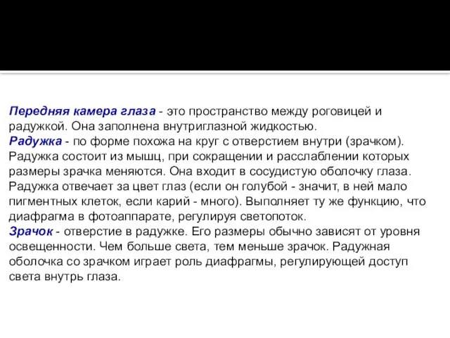 Передняя камера глаза - это пространство между роговицей и радужкой. Она