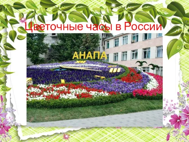 Цветочные часы в России
