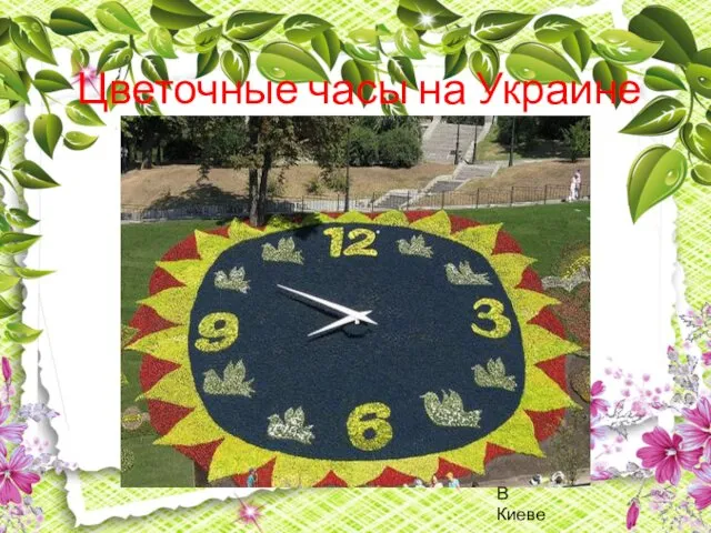 В Киеве Цветочные часы на Украине