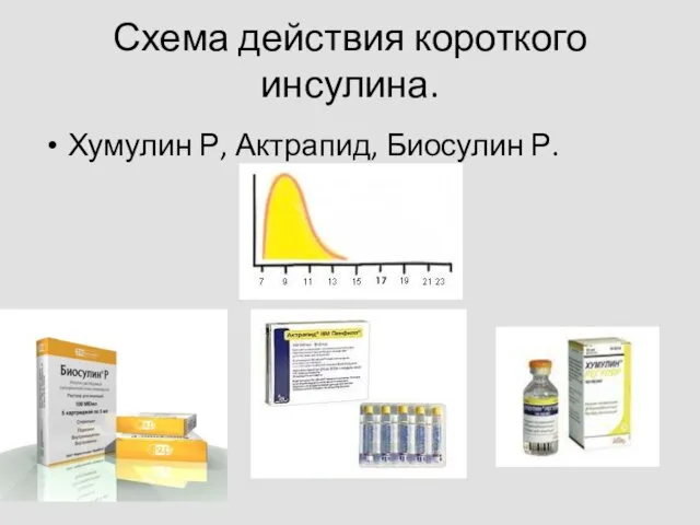 Схема действия короткого инсулина. Хумулин Р, Актрапид, Биосулин Р.