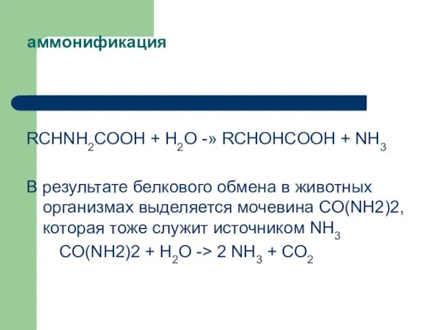 аммонификация RCHNH2COOH + Н2О -» RCHOHCOOH + NH3 В результате белкового