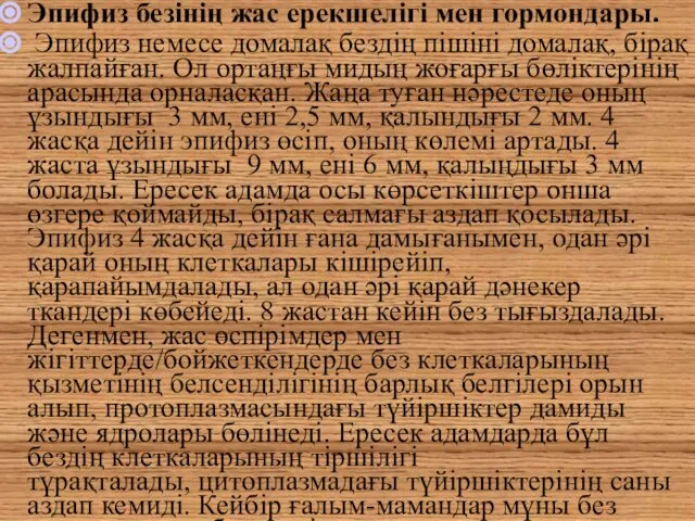 Эпифиз безінің жас ерекшелігі мен гормондары. Эпифиз немесе домалақ бездің пішіні