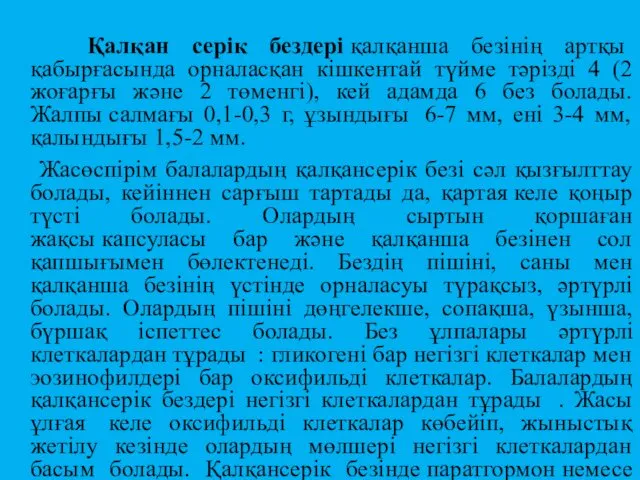 Қалқан серік бездері қалқанша безінің артқы қабырғасында орналасқан кішкентай түйме тәрізді