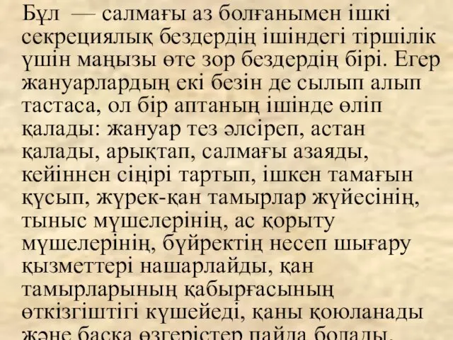 Бұл — салмағы аз болғанымен ішкі секрециялық бездердің ішіндегі тіршілік үшін