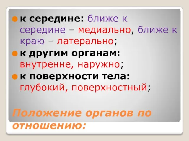 Положение органов по отношению: к середине: ближе к середине – медиально,