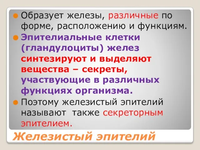 Железистый эпителий Образует железы, различные по форме, расположению и функциям. Эпителиальные