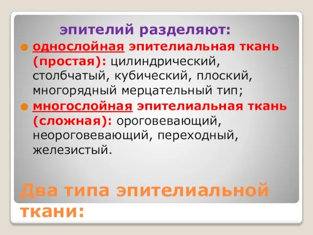 Два типа эпителиальной ткани: эпителий разделяют: однослойная эпителиальная ткань (простая): цилиндрический,