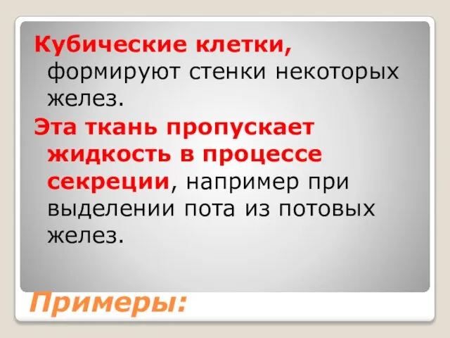 Примеры: Кубические клетки, формируют стенки некоторых желез. Эта ткань пропускает жидкость