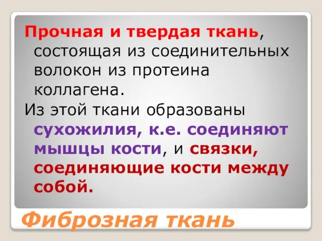 Фиброзная ткань Прочная и твердая ткань, состоящая из соединительных волокон из