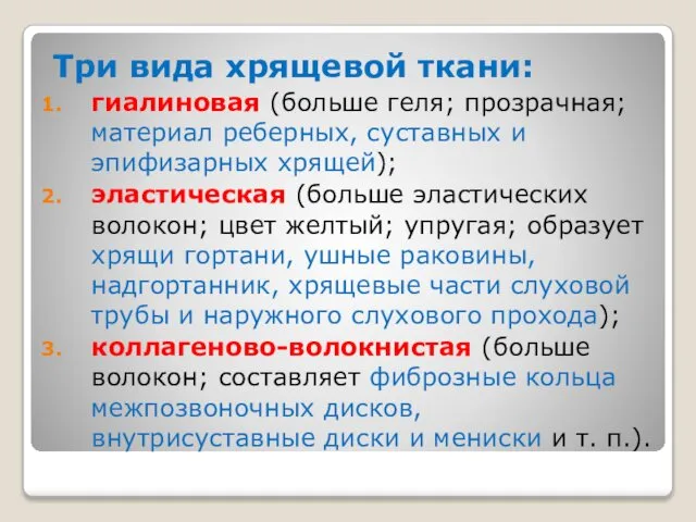 Три вида хрящевой ткани: гиалиновая (больше геля; прозрачная; материал реберных, суставных