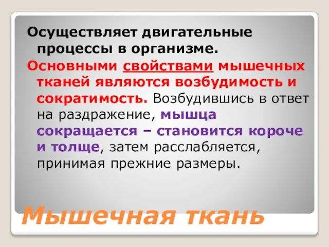 Мышечная ткань Осуществляет двигательные процессы в организме. Основными свойствами мышечных тканей