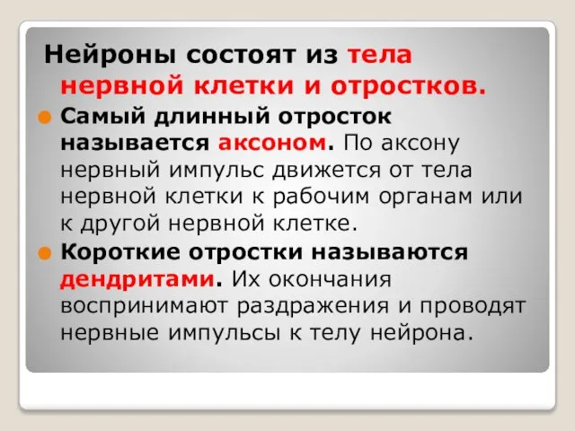 Нейроны состоят из тела нервной клетки и отростков. Самый длинный отросток