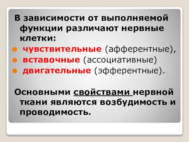 В зависимости от выполняемой функции различают нервные клетки: чувствительные (афферентные), вставочные