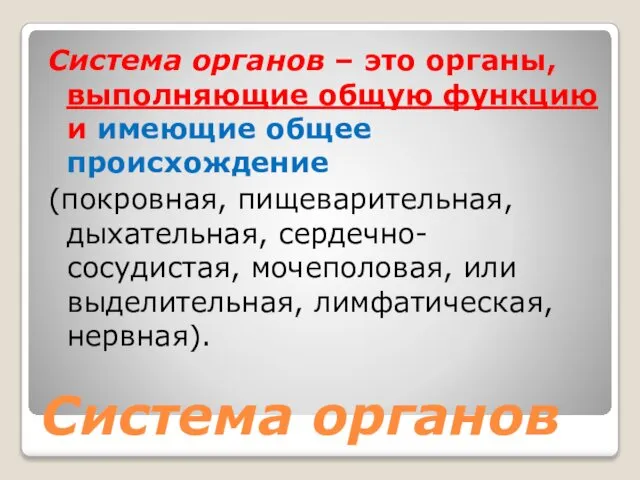 Система органов Система органов – это органы, выполняющие общую функцию и