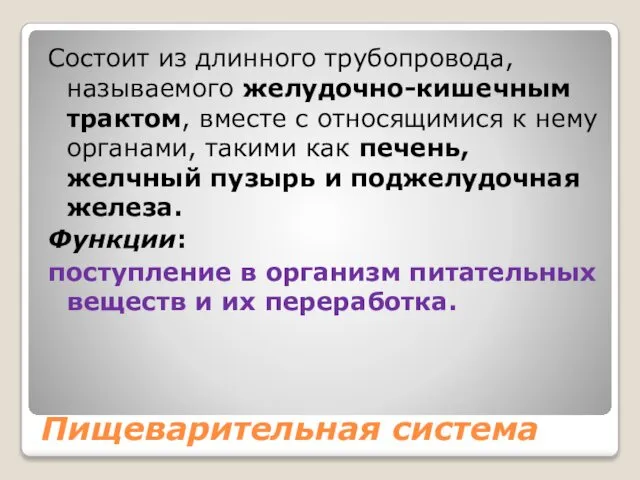 Пищеварительная система Состоит из длинного трубопровода, называемого желудочно-кишечным трактом, вместе с