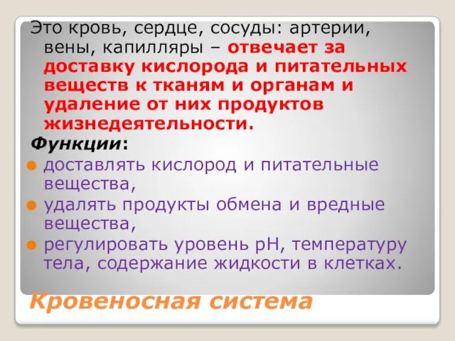 Кровеносная система Это кровь, сердце, сосуды: артерии, вены, капилляры – отвечает