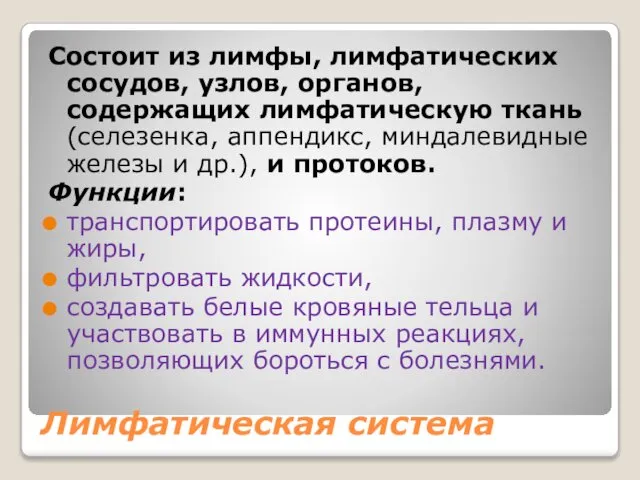 Лимфатическая система Состоит из лимфы, лимфатических сосудов, узлов, органов, содержащих лимфатическую