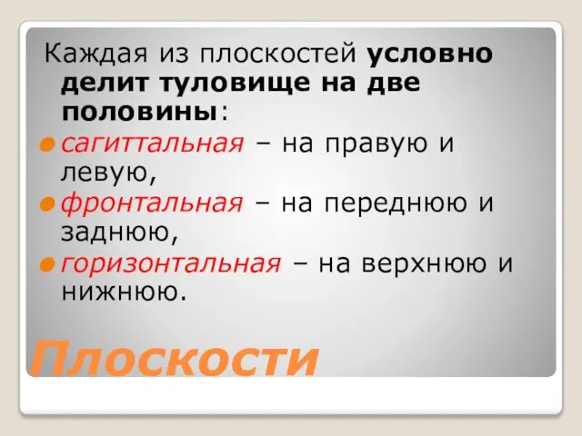 Плоскости Каждая из плоскостей условно делит туловище на две половины: сагиттальная