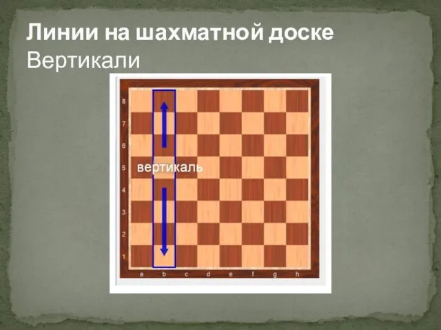 Линии на шахматной доске Вертикали