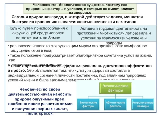 Активная трудовая деятельность на протяжении многих тысяч лет развила и усложнила