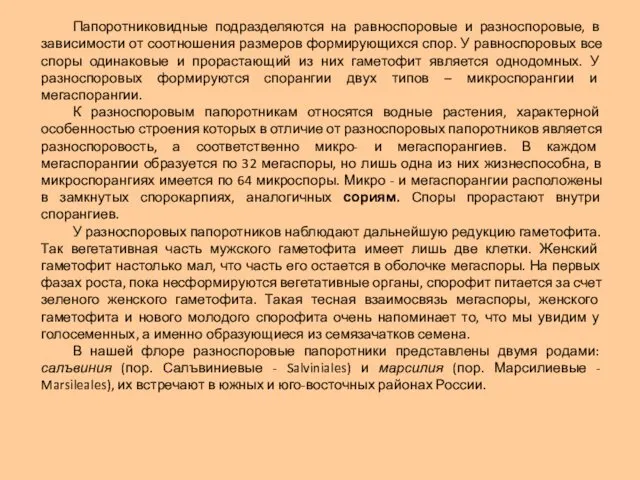 Папоротниковидные подразделяются на равноспоровые и разноспоровые, в зависимости от соотношения размеров