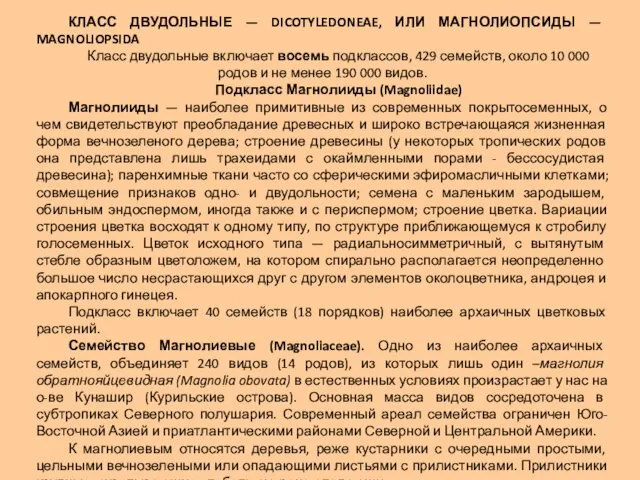 КЛАСС ДВУДОЛЬНЫЕ — DICOTYLEDONEAE, ИЛИ МАГНОЛИОПСИДЫ — MAGNOLIOPSIDA Класс двудольные включает