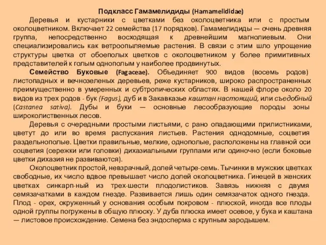 Подкласс Гамамелидиды (Hamamelididae) Деревья и кустарники с цветками без околоцветника или