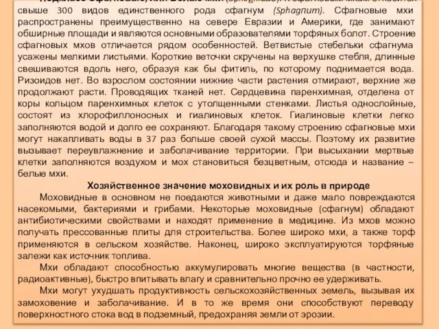 Подкласс Сфагновые, или Белые мхи (Sphagnidае). К сфагновым мхам относится свыше