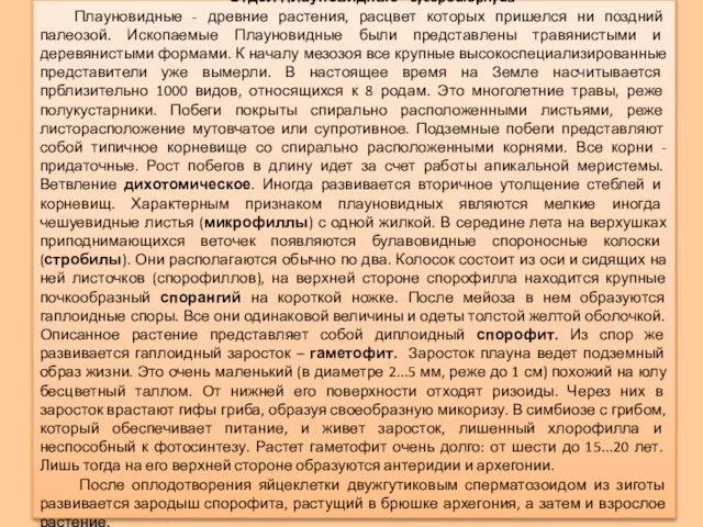 Отдел Плауновидные - Lycopodiophyda Плауновидные - древние растения, расцвет которых пришелся