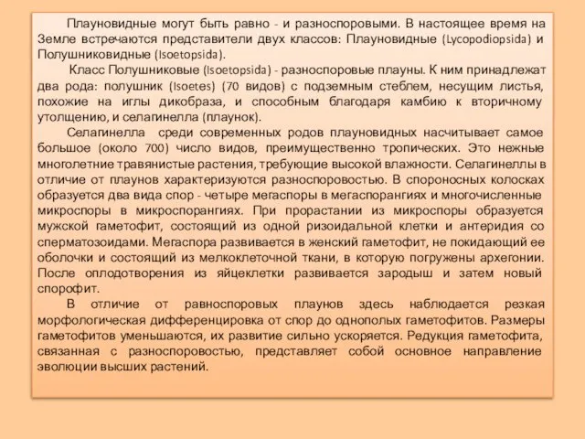 Плауновидные могут быть равно - и разноспоровыми. В настоящее время на