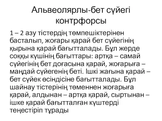 Альвеолярлы-бет сүйегі контрфорсы 1 – 2 азу тістердің төмпешіктерінен басталып, жоғары