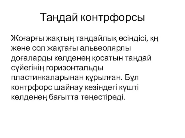 Таңдай контрфорсы Жоғарғы жақтың таңдайлық өсіндісі, қң және сол жақтағы альвеолярлы