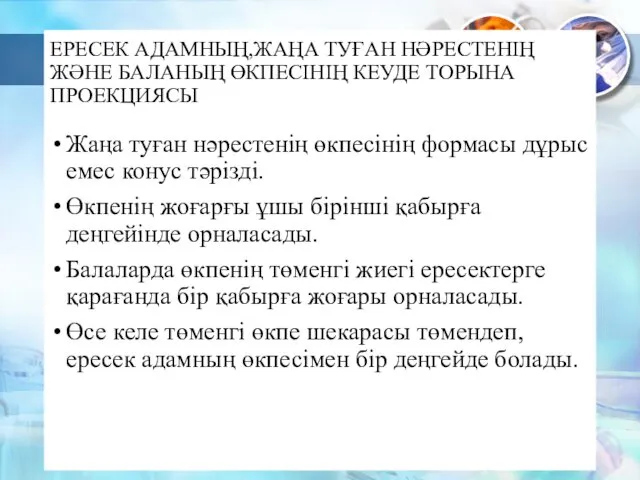 ЕРЕСЕК АДАМНЫҢ,ЖАҢА ТУҒАН НӘРЕСТЕНІҢ ЖӘНЕ БАЛАНЫҢ ӨКПЕСІНІҢ КЕУДЕ ТОРЫНА ПРОЕКЦИЯСЫ Жаңа