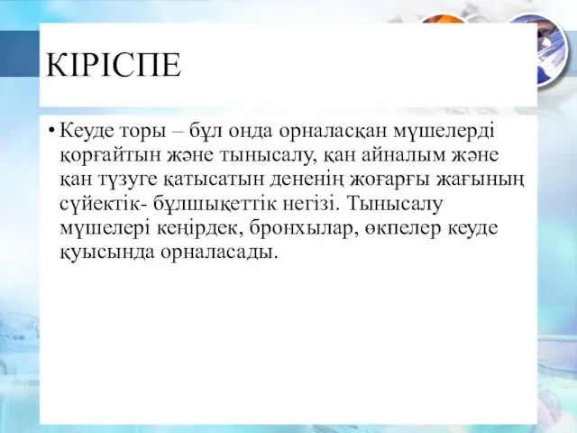 КІРІСПЕ Кеуде торы – бұл онда орналасқан мүшелерді қорғайтын және тынысалу,