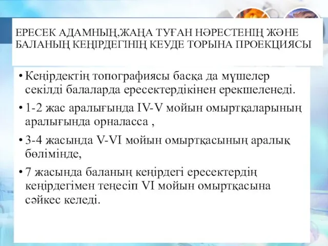 ЕРЕСЕК АДАМНЫҢ,ЖАҢА ТУҒАН НӘРЕСТЕНІҢ ЖӘНЕ БАЛАНЫҢ КЕҢІРДЕГІНІҢ КЕУДЕ ТОРЫНА ПРОЕКЦИЯСЫ Кеңірдектің