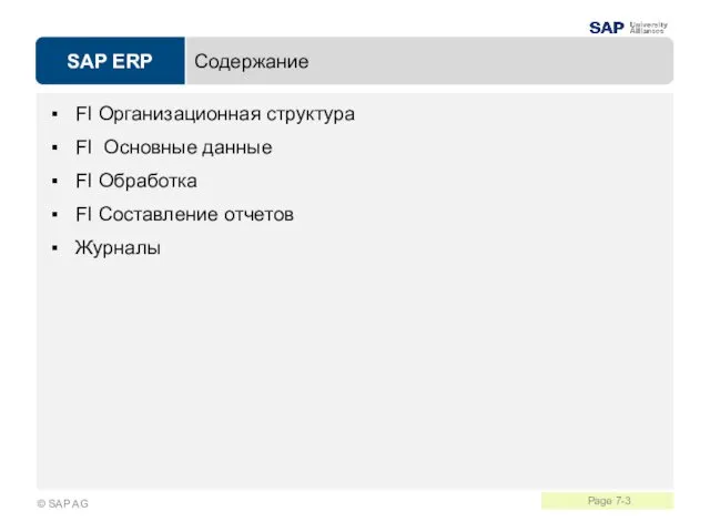 Содержание FI Организационная структура FI Основные данные FI Обработка FI Составление отчетов Журналы