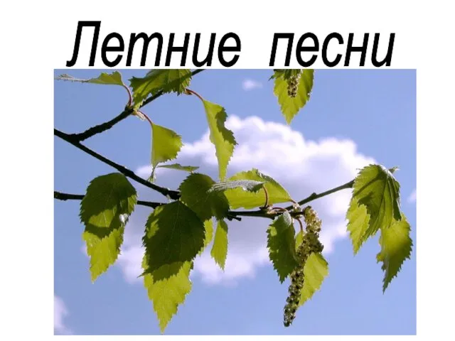 Летние песни