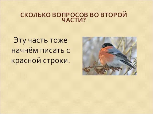 СКОЛЬКО ВОПРОСОВ ВО ВТОРОЙ ЧАСТИ? Эту часть тоже начнём писать с красной строки.