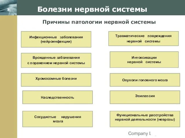 Company Logo Болезни нервной системы Причины патологии нервной системы Инфекционные заболевания