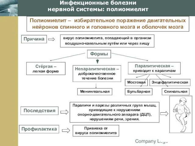 Company Logo Инфекционные болезни нервной системы: полиомиелит Полиомиелит – избирательное поражение