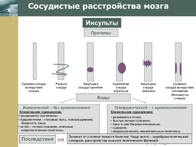 Company Logo Сосудистые расстройства мозга Инсульты Причины Виды Сужение сосуда вследствие