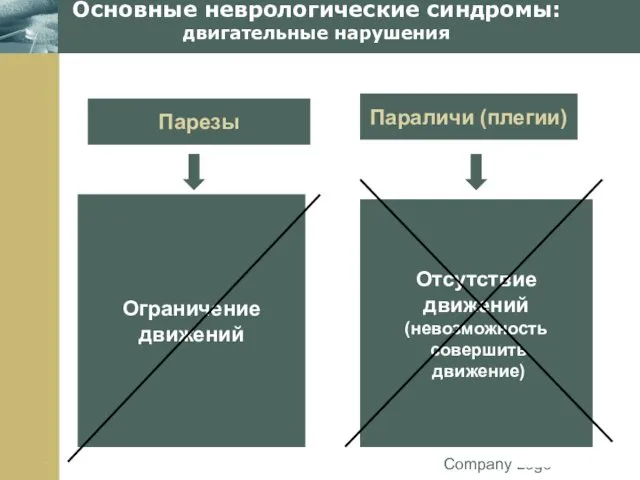 Company Logo Основные неврологические синдромы: двигательные нарушения Парезы Параличи (плегии) Ограничение