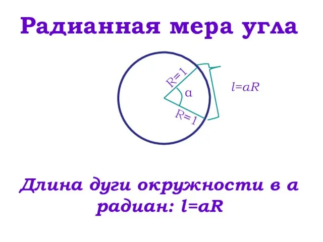 Радианная мера угла Длина дуги окружности в α радиан: l=αR α l=αR R=1 R=1