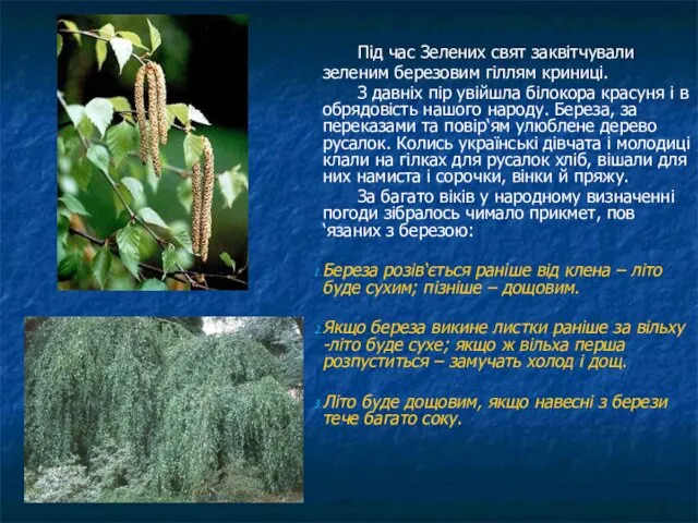 Під час Зелених свят заквітчували зеленим березовим гіллям криниці. З давніх