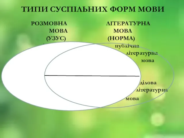 ТИПИ СУСПІЛЬНИХ ФОРМ МОВИ РОЗМОВНА ЛІТЕРАТУРНА МОВА МОВА (УЗУС) (НОРМА) діалекти