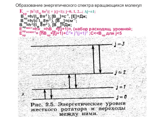 Образование энергетического спектра вращающихся молекул Евр= [h2/(IM 8π2)] × j(j+1); j=0,